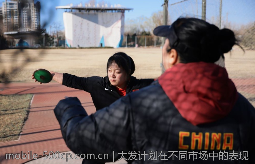 大发计划在不同市场中的表现