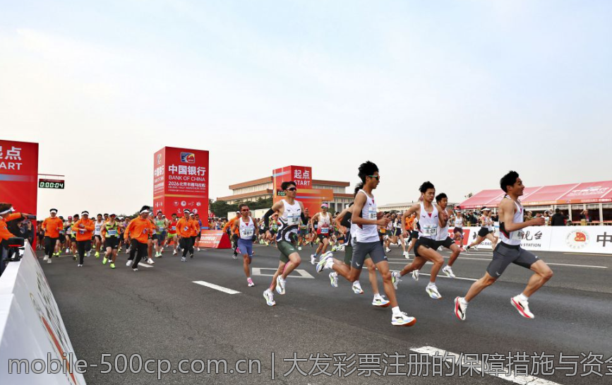 大发彩票注册的保障措施与资金安全协议